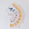 Transport Flashcards