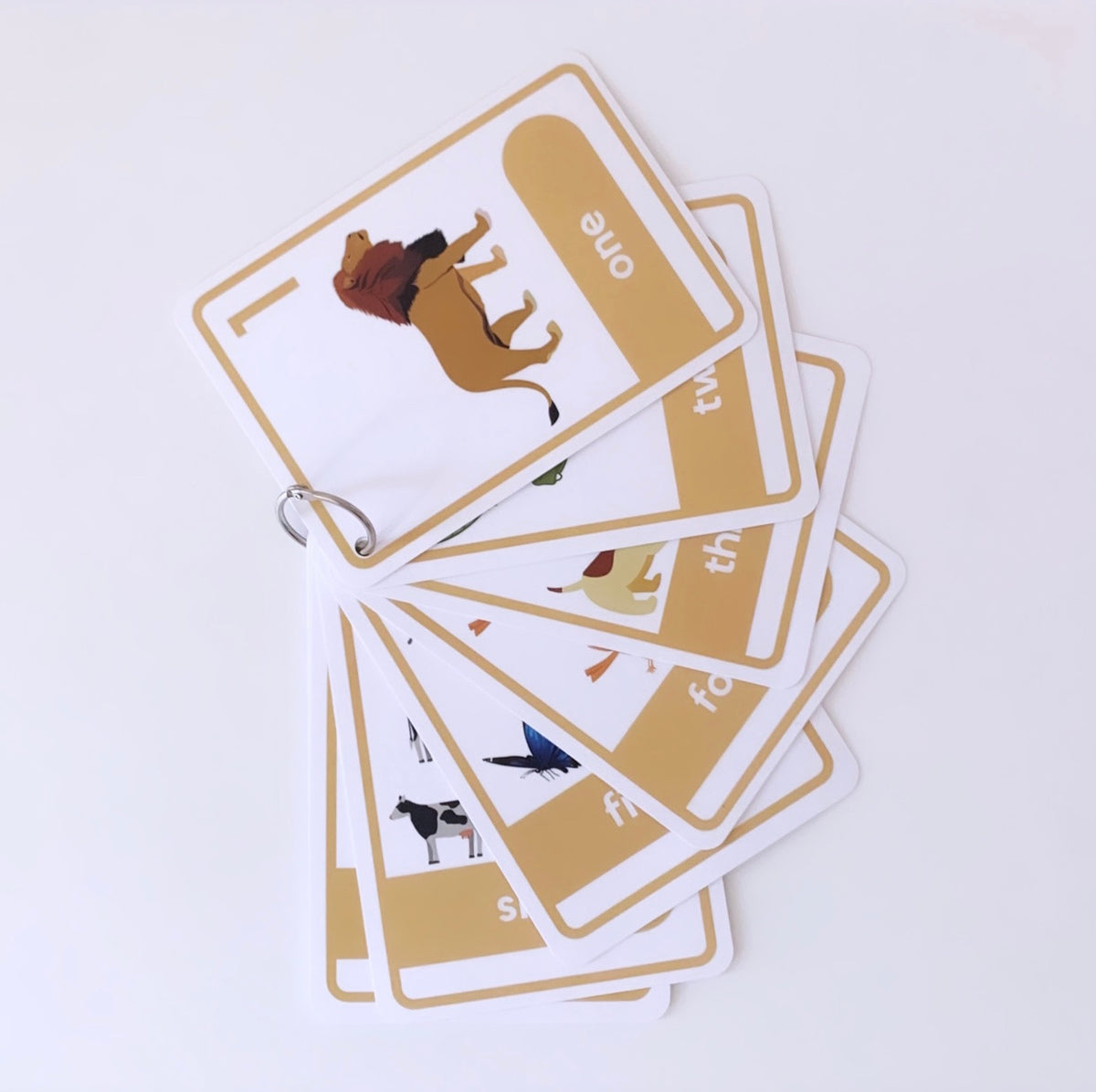 Numbers 1-10 Flashcards