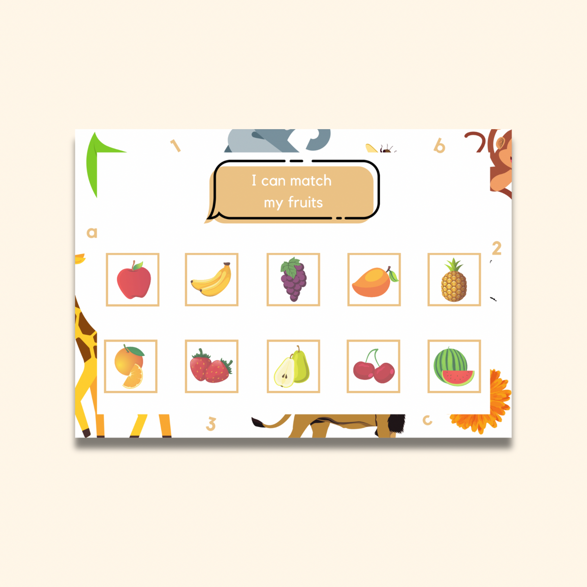 Fruit Matching Mat